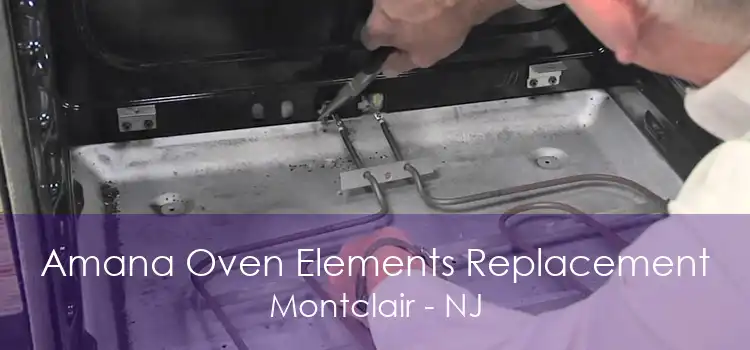 Amana Oven Elements Replacement Montclair - NJ