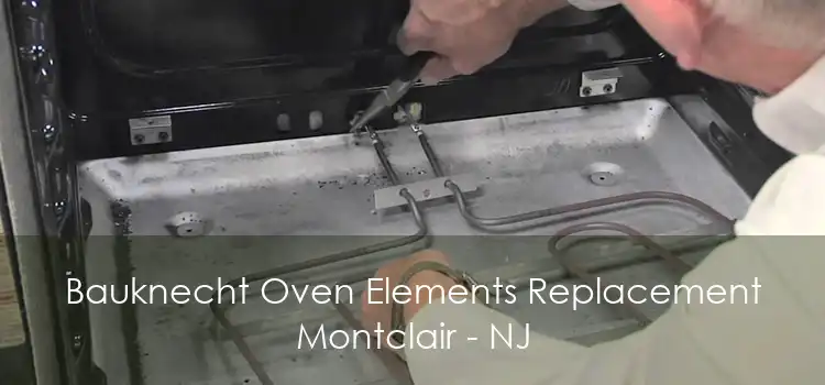 Bauknecht Oven Elements Replacement Montclair - NJ