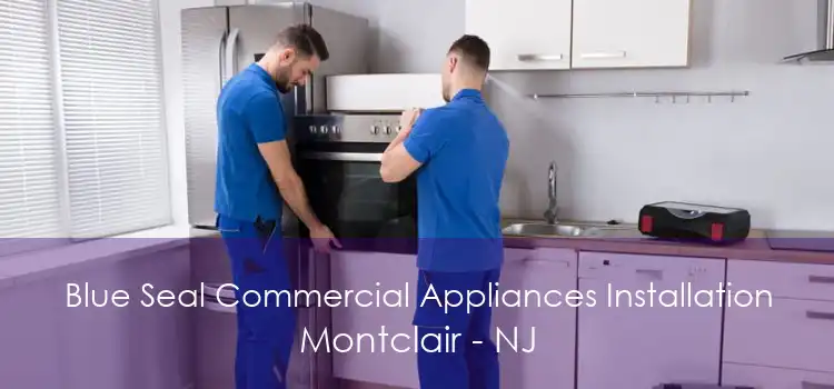 Blue Seal Commercial Appliances Installation Montclair - NJ