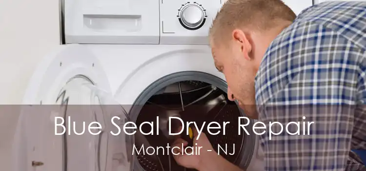 Blue Seal Dryer Repair Montclair - NJ