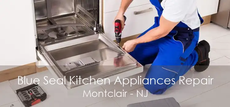 Blue Seal Kitchen Appliances Repair Montclair - NJ