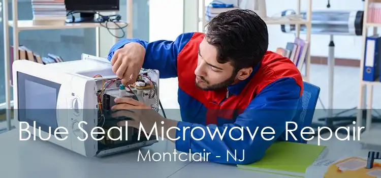 Blue Seal Microwave Repair Montclair - NJ