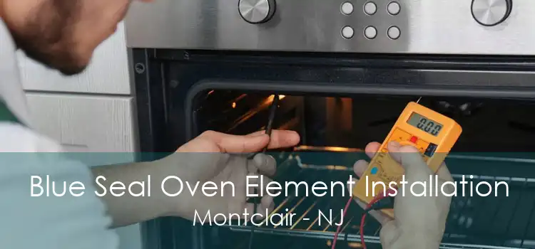 Blue Seal Oven Element Installation Montclair - NJ