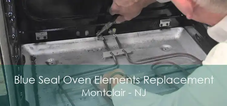 Blue Seal Oven Elements Replacement Montclair - NJ