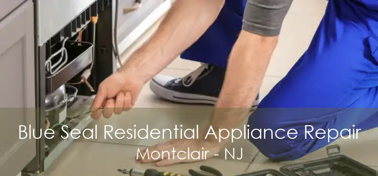 Blue Seal Residential Appliance Repair Montclair - NJ