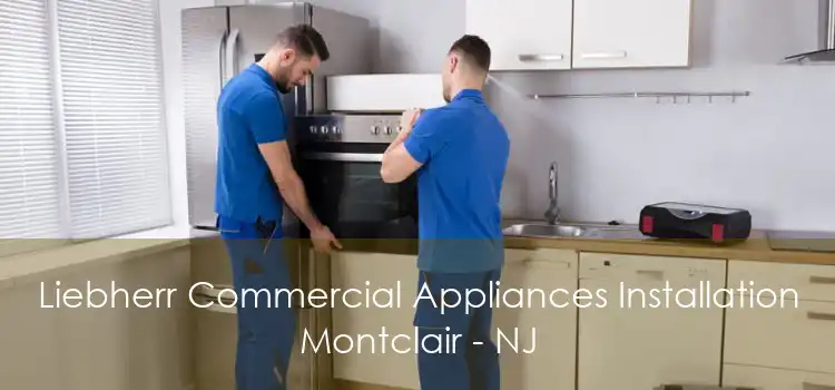 Liebherr Commercial Appliances Installation Montclair - NJ