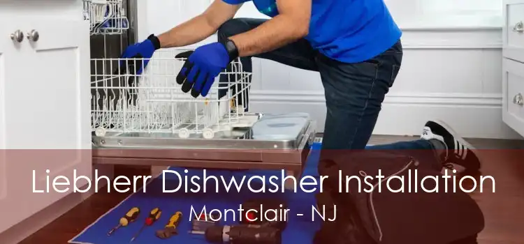 Liebherr Dishwasher Installation Montclair - NJ