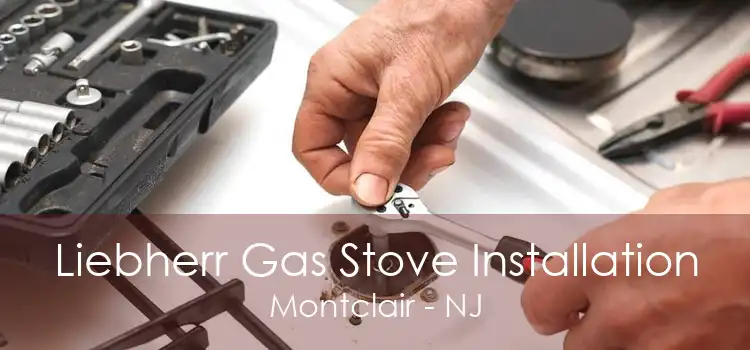 Liebherr Gas Stove Installation Montclair - NJ