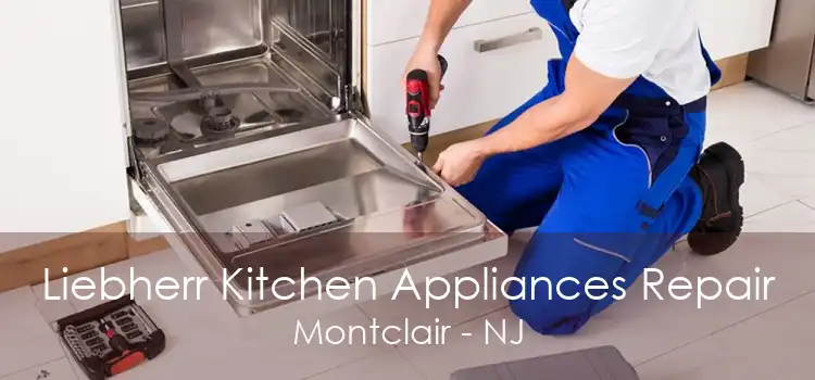 Liebherr Kitchen Appliances Repair Montclair - NJ