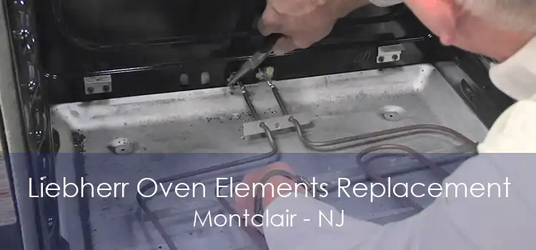 Liebherr Oven Elements Replacement Montclair - NJ