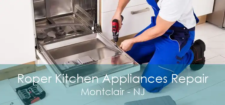 Roper Kitchen Appliances Repair Montclair - NJ