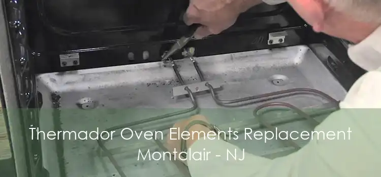 Thermador Oven Elements Replacement Montclair - NJ